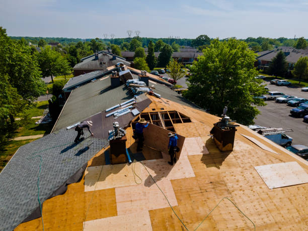 Quick and Trustworthy Emergency Roof Repair Services in Central Park, WA